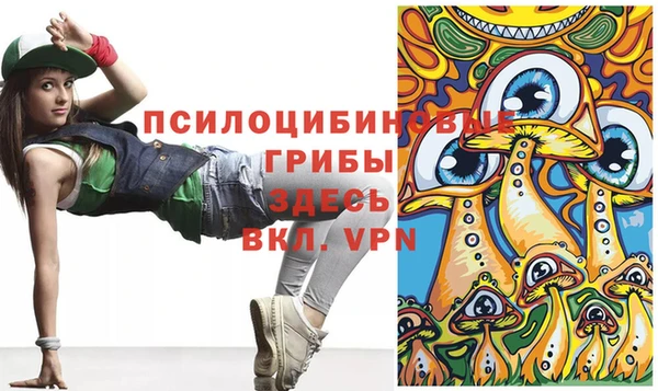 молекула духа Янаул