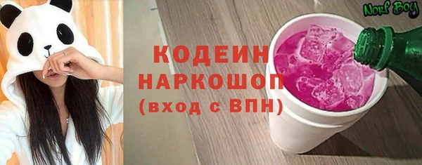 СК Кодинск