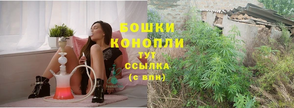 СК Кодинск