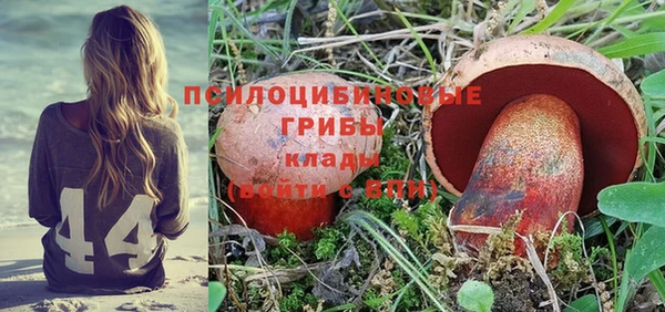 apvp Карталы
