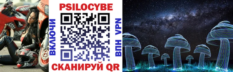 Псилоцибиновые грибы Psilocybine cubensis Кедровый