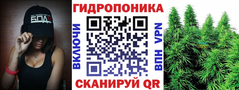 мориарти клад  Кедровый  Марихуана марихуана  где можно купить наркотик 